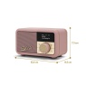 Roberts REV-PETITE2DP Revival Petite2 Radio - Dusky Pink