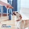 Dentalife Large Dog Dental Dog Chews - 36 Sticks