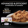 Purina Pro Plan Kitten Healthy Start Turkey in Gravy Wet Cat Food - 10 x 85g