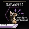 Purina Pro Plan Kitten Healthy Start Turkey in Gravy Wet Cat Food - 10 x 85g