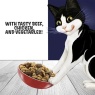 Felix Doubly Delicious Beef, Chicken & Vegetables Dry Cat Food - 2kg