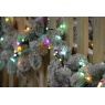 Festive 1000 Glow-Worm Lights - Aurora