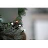 Festive 760 Glow-Worm Lights - Jolly Holly