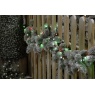 Festive 760 Glow-Worm Lights - Jolly Holly