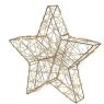 Lumineo Lumineo 3D Micro LED Gold Star 20cm