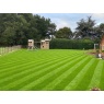 Grass Gains Lawn Bulk (6 Month) Fertiliser - 2.5kg