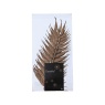 Decoris Decoris 4 Pack Glitter Ferns - Ginger Brown