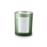 Ashleigh & Burwood Frosted Holly Candle - 170g