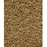 Mastercraft Mastercraft 039-0001/2244 Twilight Shaggy Round Rug - Gold