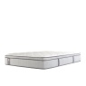 Sealy Chadwick Mattress