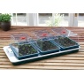 Garland Big 3 Automatic Temperature Control Electric Propagator