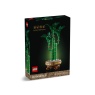 LEGO 10344 Lucky Bamboo