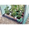 Smart Garden Tomato Grozone Max - Double Sided