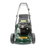 Webb WERR17SP 43cm (17inch) Self Propelled Petrol Rear Roller Lawnmower