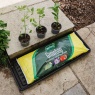 Westland Westland Growbag (Medium) - 30L