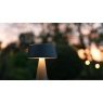 Extreme Lounging B Lamp - Smoke Grey