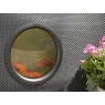 Hozelock Patio Aquarium